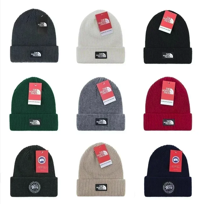 THE NORTH FACE knitted hat (various styles available)
