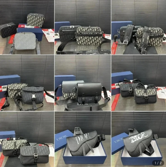Dior camera bag 