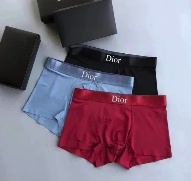 Dior underwear