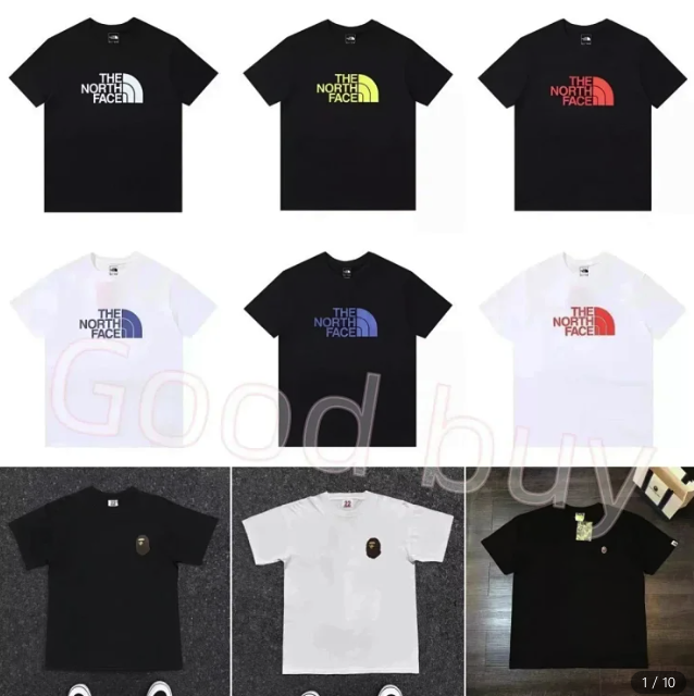 The north face T-shirt  (30 CP)