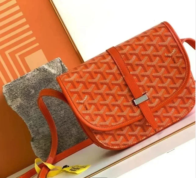 GOYARD bag