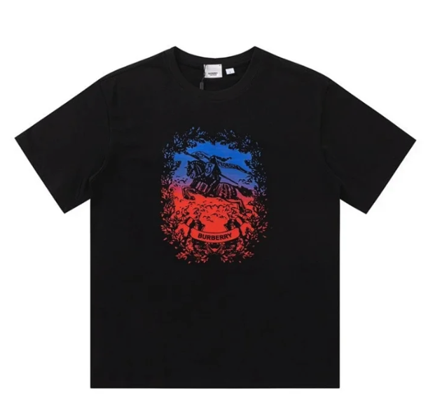 burberry t-shirt（color 40）