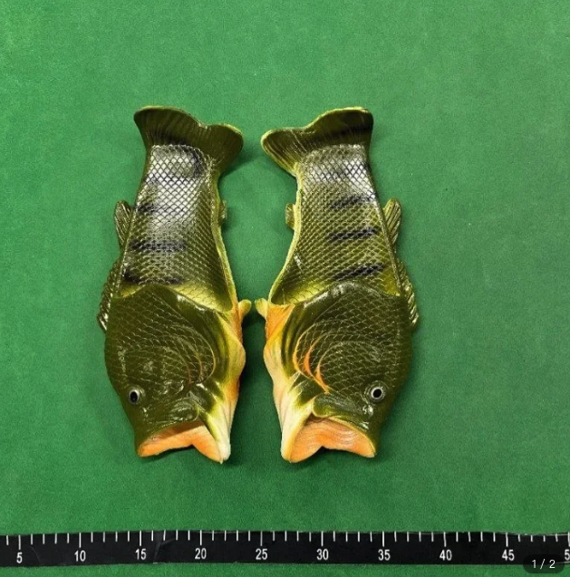 FISH SLIDES