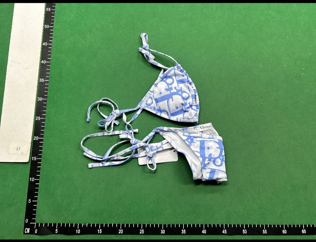  Fendi & Dior Swimsuit