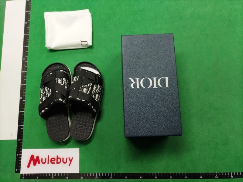 Dior Slide
