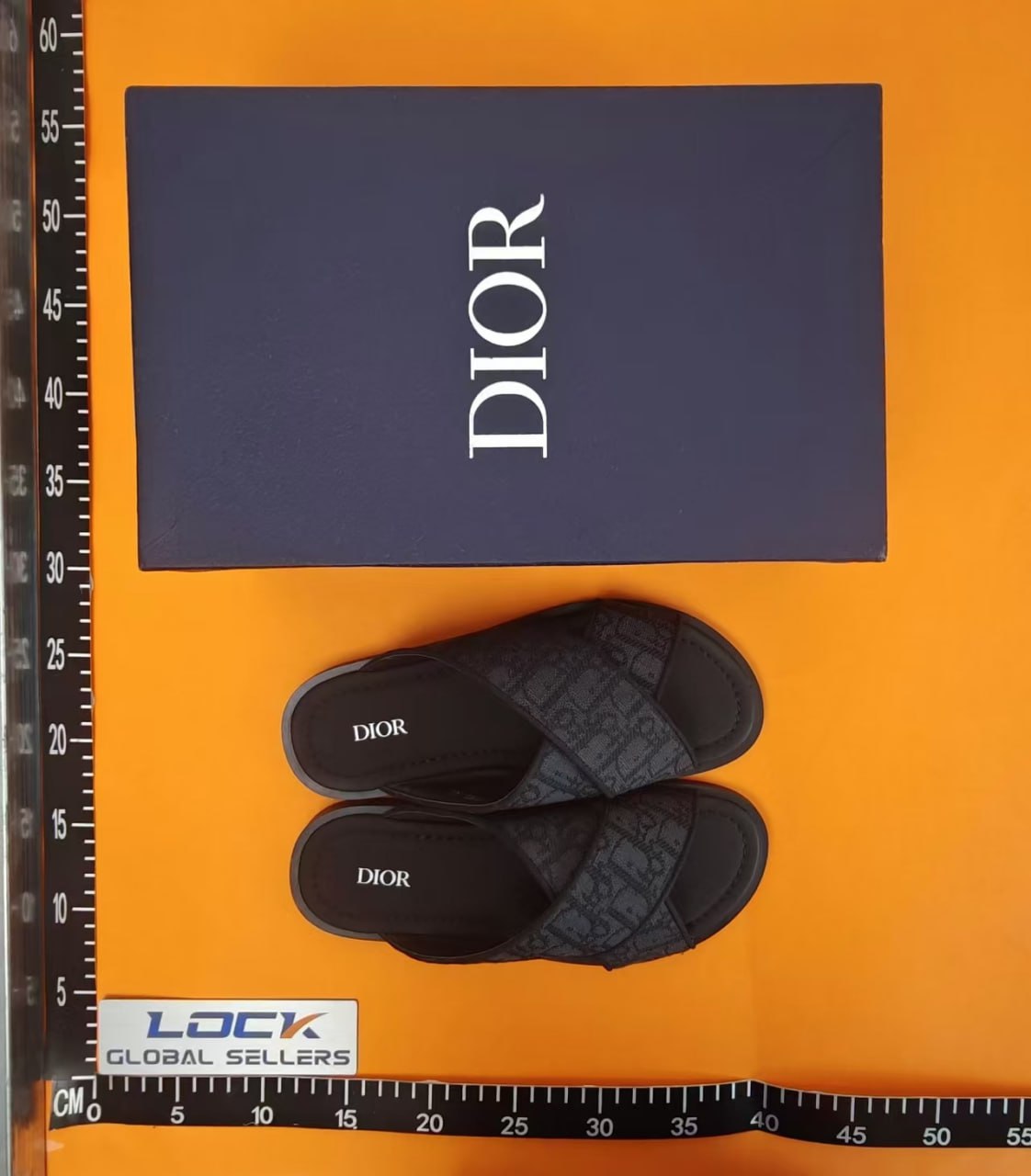 Dior Slipper