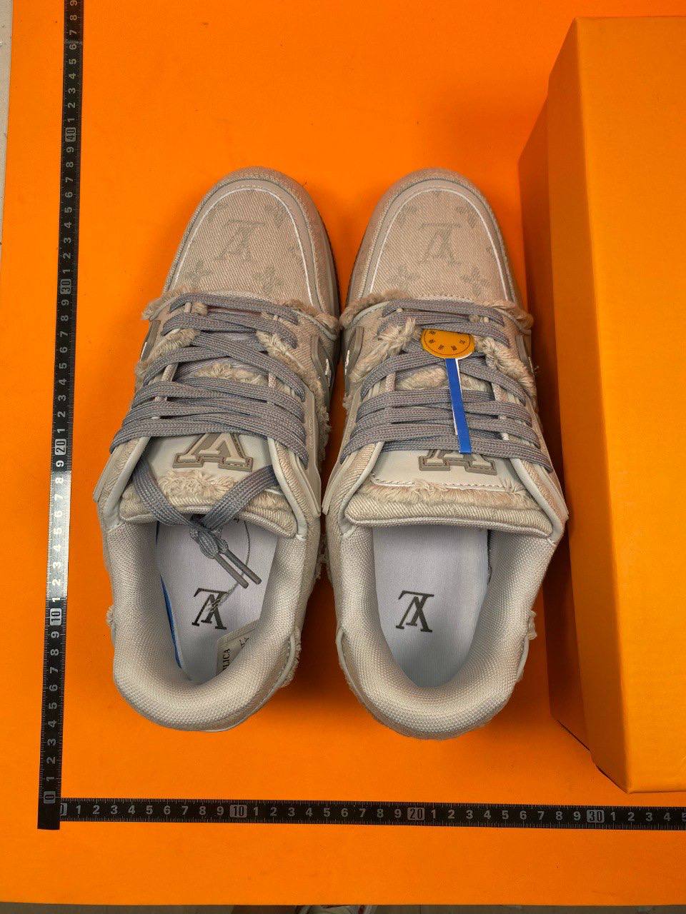 LV TRAINER