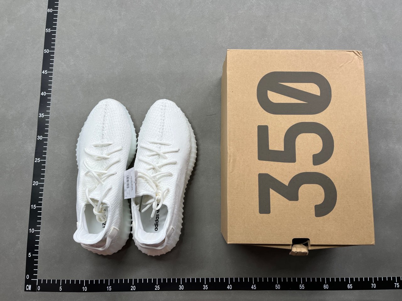 GD-YEEZY350