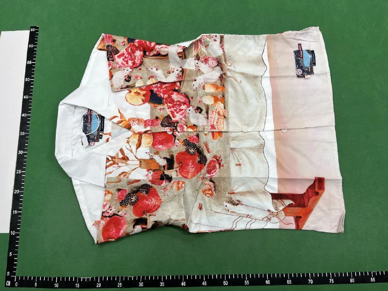 Prada Polo T-shirt  ( 29 + styles)