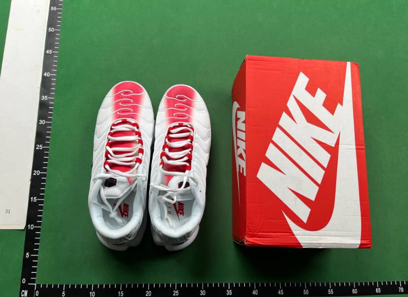 Nike Air Cushion Shoes