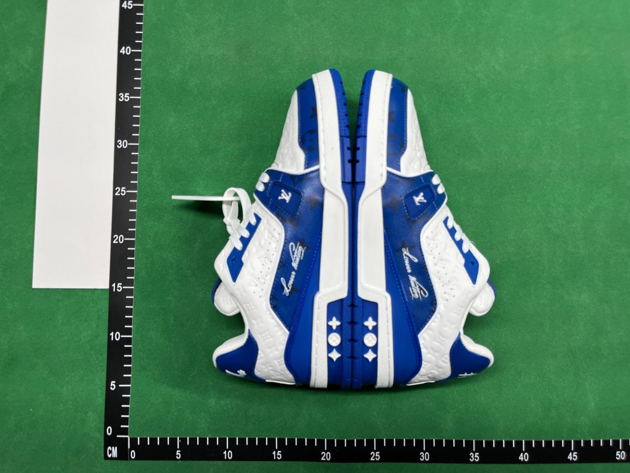 FS-LV Trainer