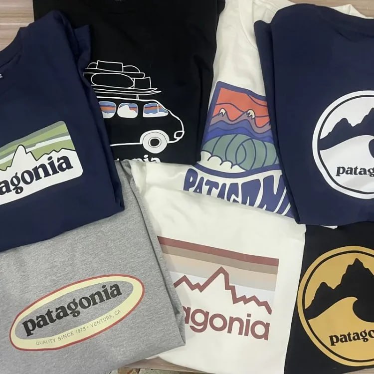 Patagonia tee