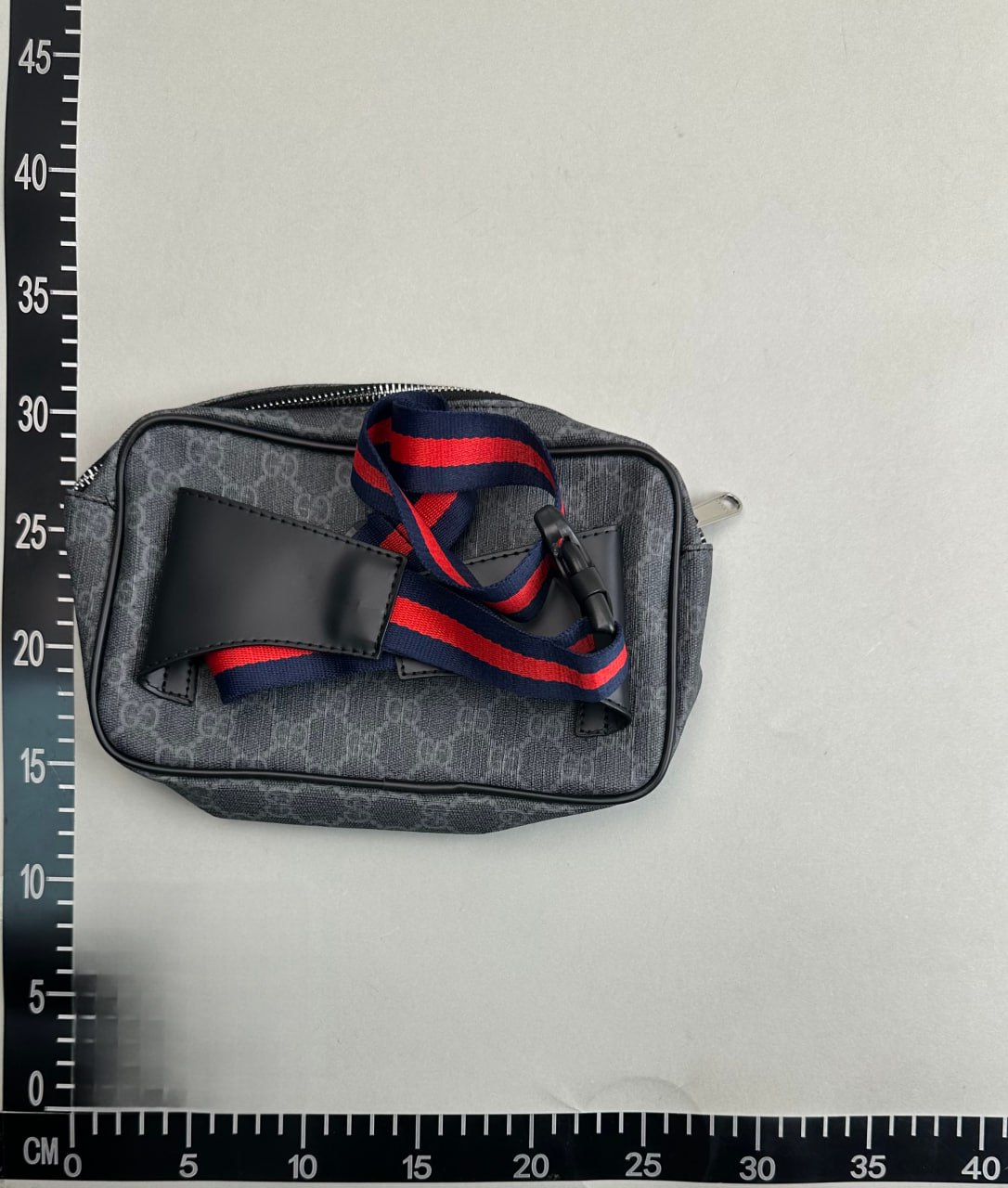 Gucci Bag**