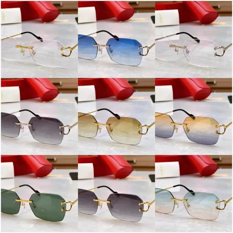 CARTIER sunglasses sunglasses